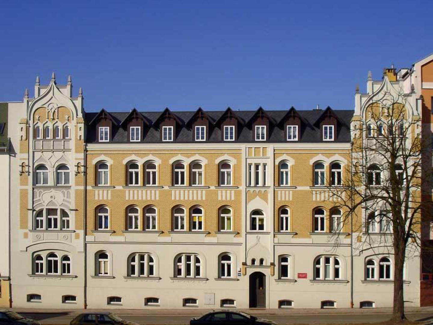Grafika strony Związku Jaszczurczego 13 i 14