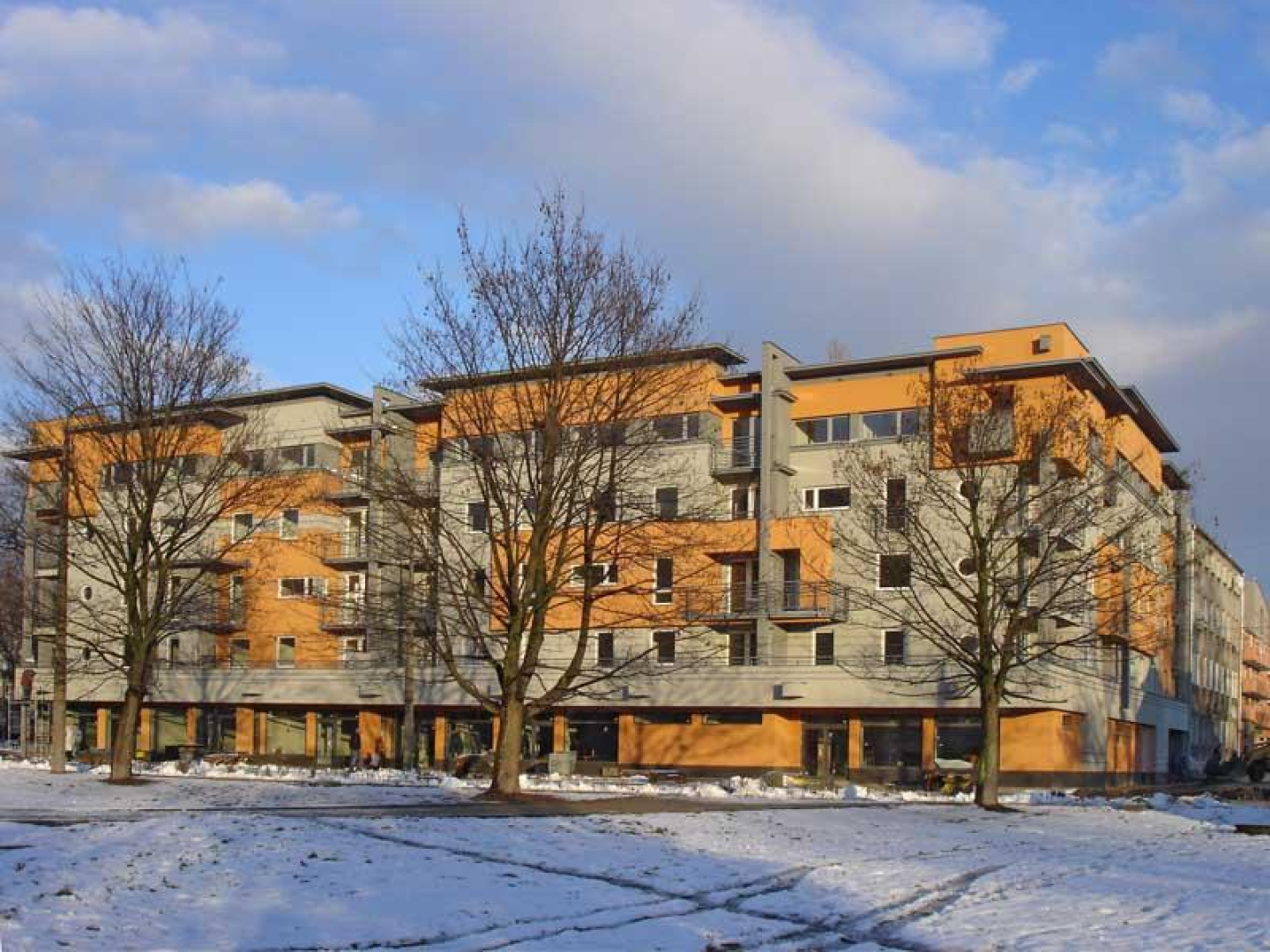 Grafika strony Jagiellonka